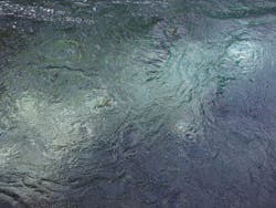 1655328137296 6 1655328137296 6