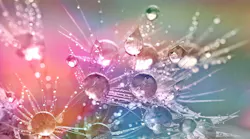 6.29drop-of-water-862316_1280