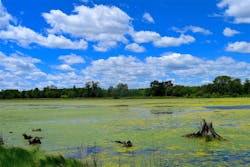 1655328149074 7 1655328149074 7