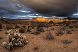 1655328150147 7 1655328150147 7