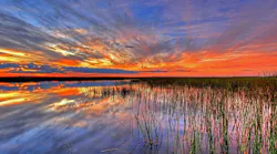 8.14floridasunset