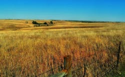 1655328165344 8 1655328165344 8