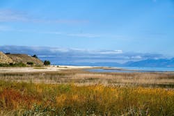 1655328170662 9 1655328170662 9