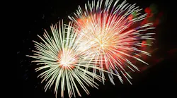 fireworks-227383_640