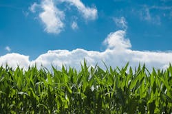 1655328178898 10 1655328178898 10