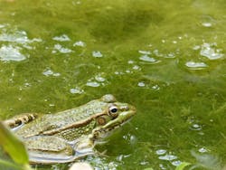 1655328179134 10 1655328179134 10