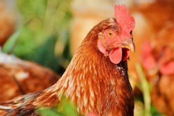 1655328179580 10 1655328179580 10