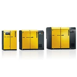 1655328183776 Family Spread Dbs Ebs Fbs 002 250x250 1655328183776 Family Spread Dbs Ebs Fbs 002 250x250