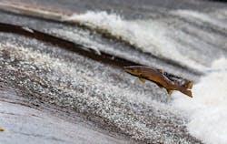 1655328186381 11 1655328186381 11