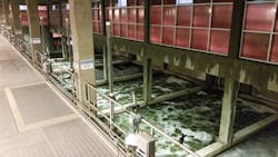 kruger-nitrogen-removal-2-111017 kruger-nitrogen-removal-2-111017