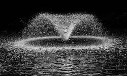 1655328192990 Wwd News 127 Pic 1 1655328192990 Wwd News 127 Pic 1