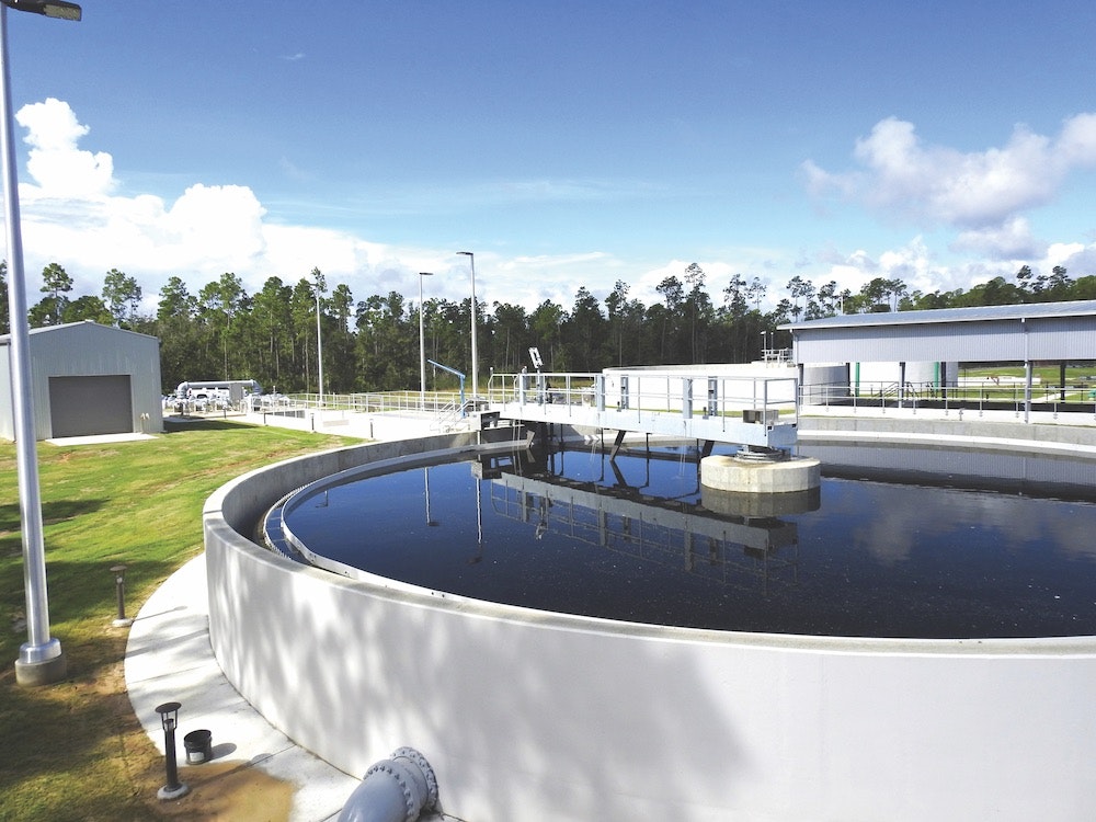 1655328196943 Dwsd1 Copy