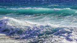 1655328198839 Surf3037194 340 1655328198839 Surf3037194 340