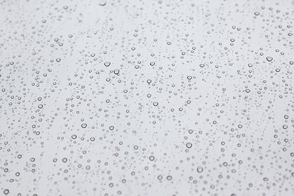 1655328205092 Pattern3088082 340