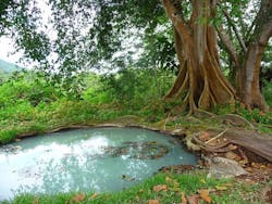 1655328206438 Renaissance13405 340 1655328206438 Renaissance13405 340