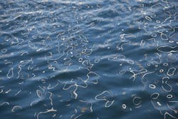 1655328208142 Wet3138891 480 1655328208142 Wet3138891 480