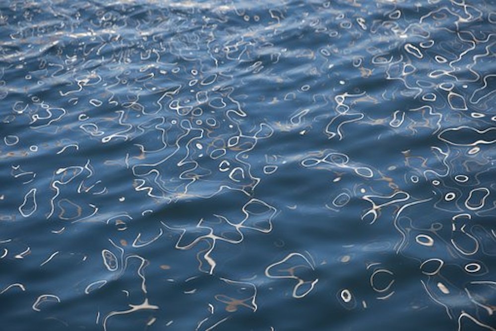 1655328214100 Wet3138891 340 0