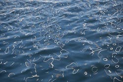 1655328214100 Wet3138891 340 0 1655328214100 Wet3138891 340 0