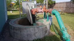 vaughan-chopper-pumps-1-031318