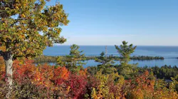 autumn-2702093_960_720