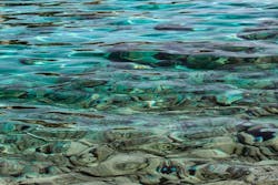 1655328227306 Desktop3328691 960 720 1655328227306 Desktop3328691 960 720