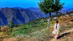 shimla-3137468_960_720