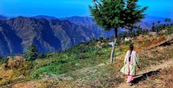 1655328253314 Shimla3137468 960 720 1655328253314 Shimla3137468 960 720