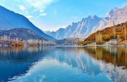 1655328265802 Tree2363348 960 720 1655328265802 Tree2363348 960 720