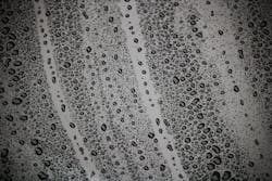 1655328280314 8 1655328280314 8