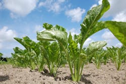 1655328284192 8 1655328284192 8