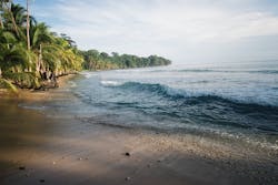 1655328285178 9 1655328285178 9