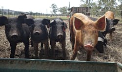 1655328285664 9 1655328285664 9