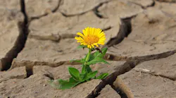 9.11soil