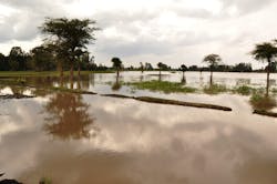 1655328287619 Hurricanemaria 1655328287619 Hurricanemaria