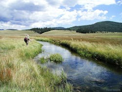 1655328297063 Littlerockstream 1655328297063 Littlerockstream