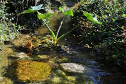 1655328298365 Texasstream 1655328298365 Texasstream