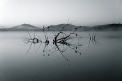 1655328299870 Studyrevealsfarmers 1655328299870 Studyrevealsfarmers