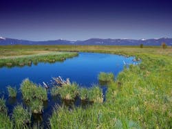 1655328302669 Oregonriver 1655328302669 Oregonriver