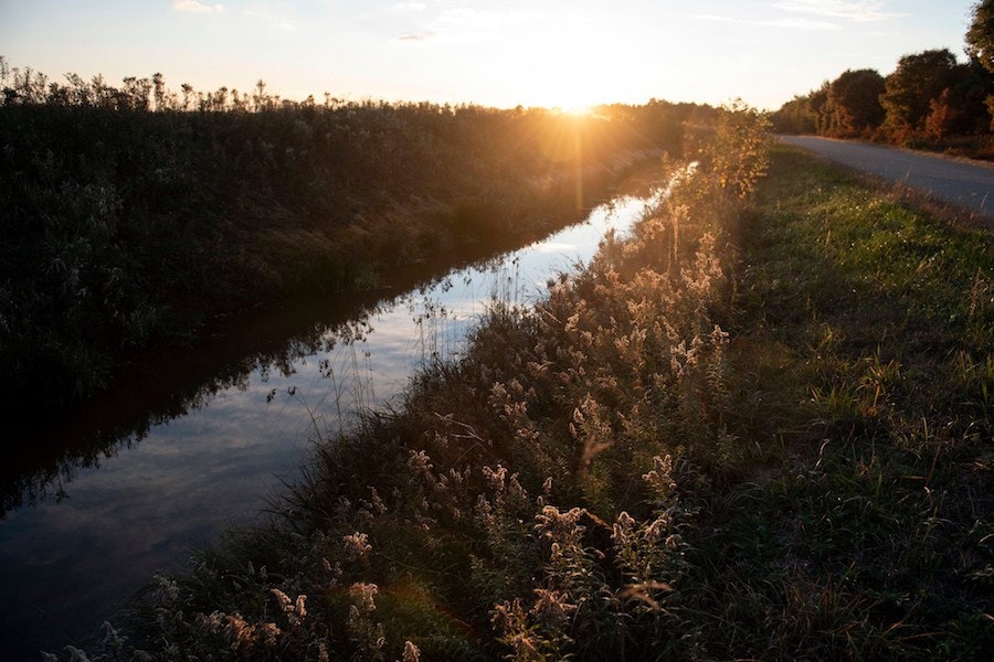 1655328309712 Newyorktimes 0