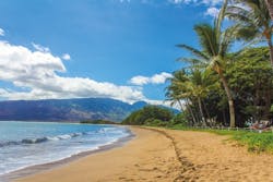 1655328311732 Cesspoolshawaii 1655328311732 Cesspoolshawaii