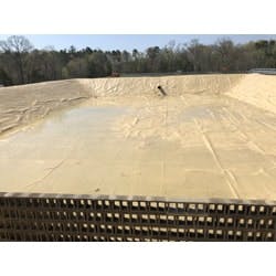 1655328319204 Ravencomposite112718 1655328319204 Ravencomposite112718