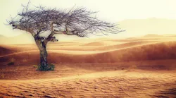 ClimateChange