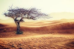 1655328319707 Climatechange 1655328319707 Climatechange