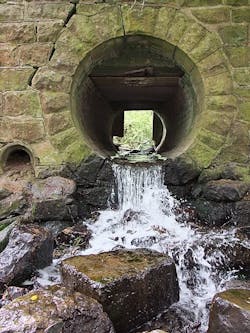 1655328325591 Kentuckypipe 1655328325591 Kentuckypipe