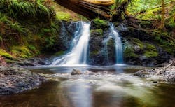 1655328329139 Colo 1655328329139 Colo