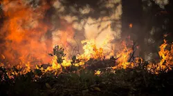Fire