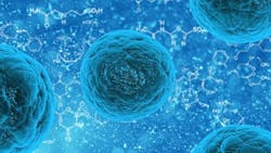 1655328334465 Bacteria 0 1655328334465 Bacteria 0