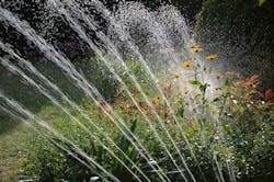 1655328339439 Delirrigation 1655328339439 Delirrigation