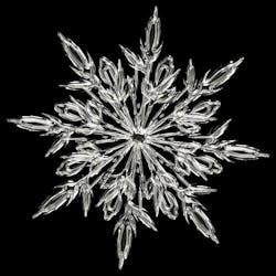 1655328340424 Star 1655328340424 Star