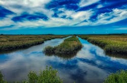 1655328345160 Southcarolina4003626 1920 1655328345160 Southcarolina4003626 1920